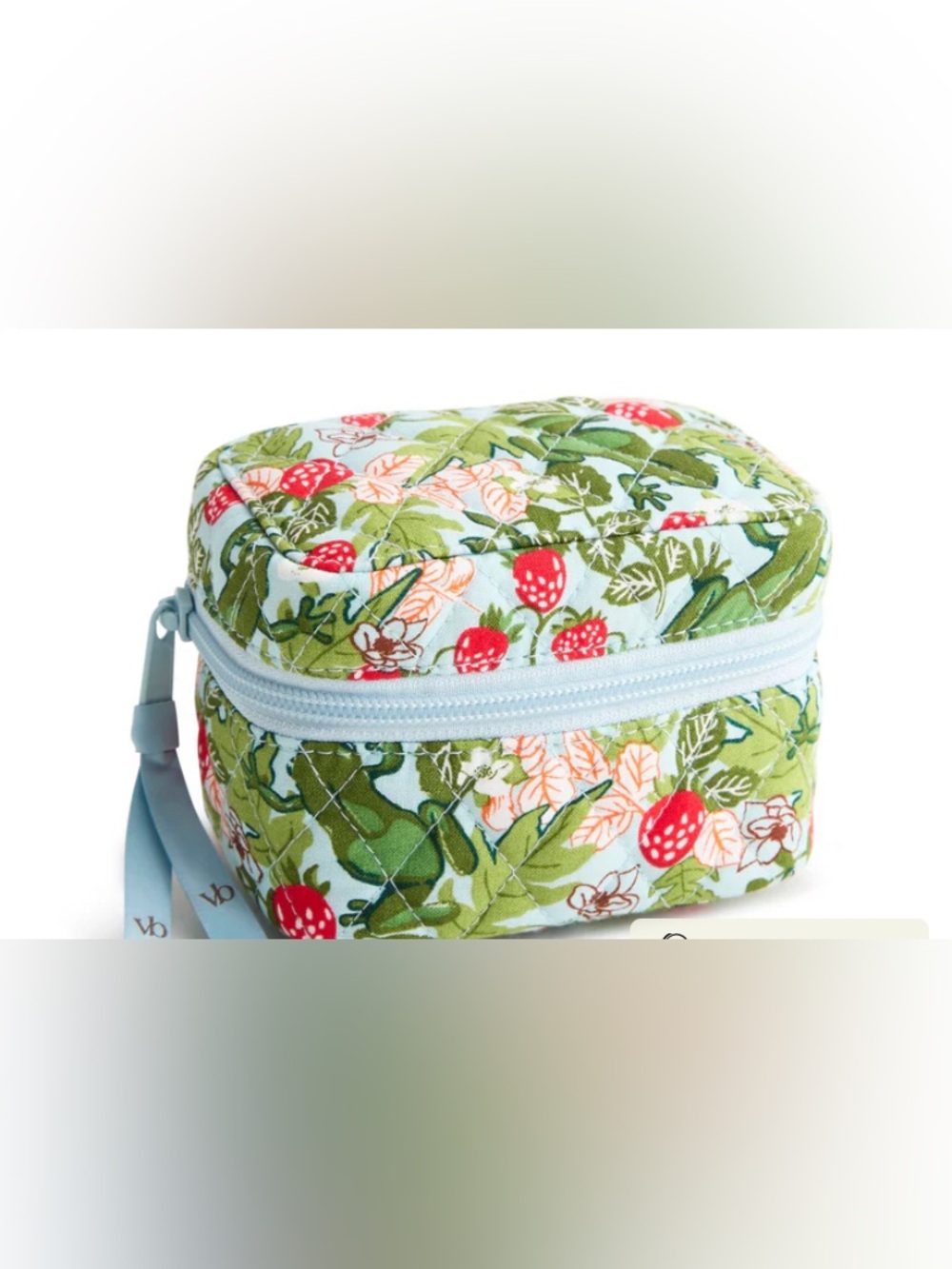 Vera Bradley Supplement Pill Case Travel Pouch Bag Frogberry Blue Garden New